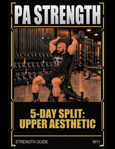 Cover of the Upper Aesthetic workout PDF